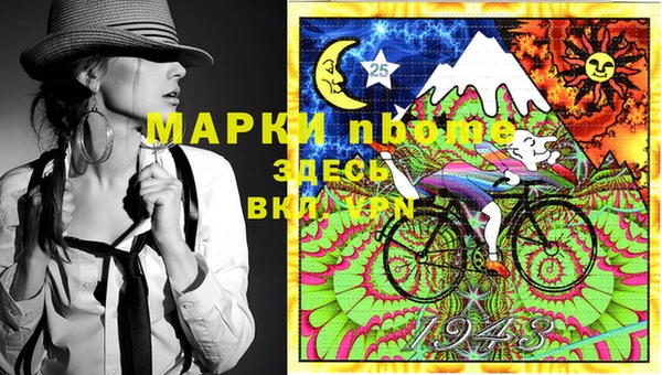 индика Балахна