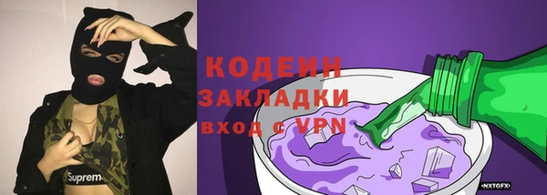 индика Балахна