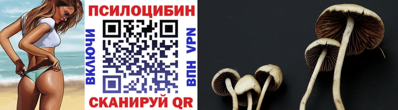 Псилоцибиновые грибы ЛСД  Щёлкино 